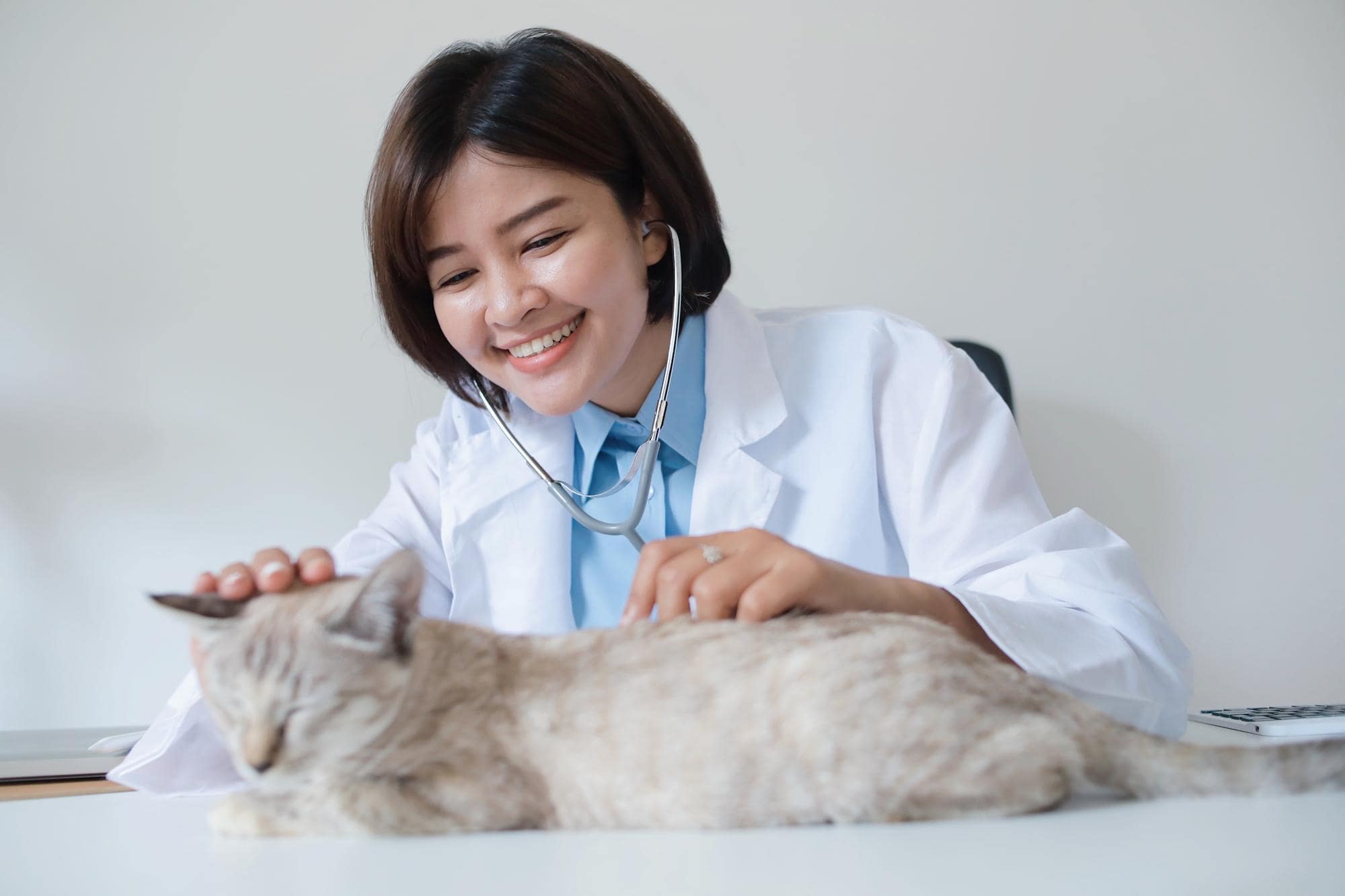 Hoe weet ik of mijn kat ziek is?